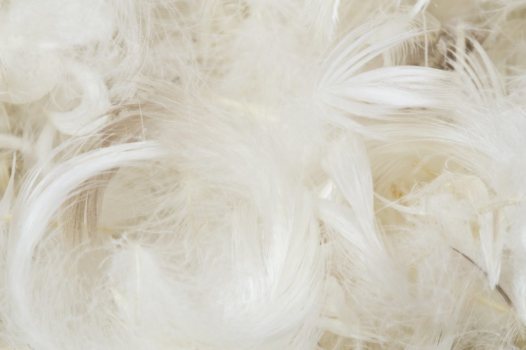 White feathers pillow - pillow buying guide